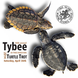Tybee Turtle Trot